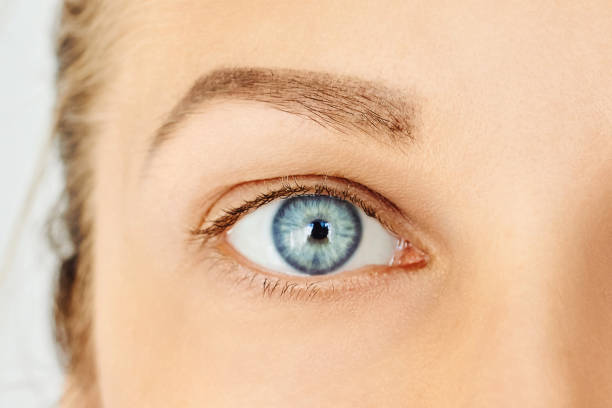 Eye health and care, eyesight, ophthalmology concept