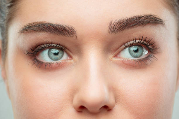 The beautiful female face. The perfect and clean skin of face on gray