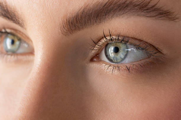 Beautiful female with blue eyes looking away